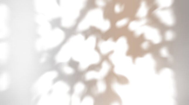 Soft blurred shape dappled sunlight shadow overlay on a transparent background