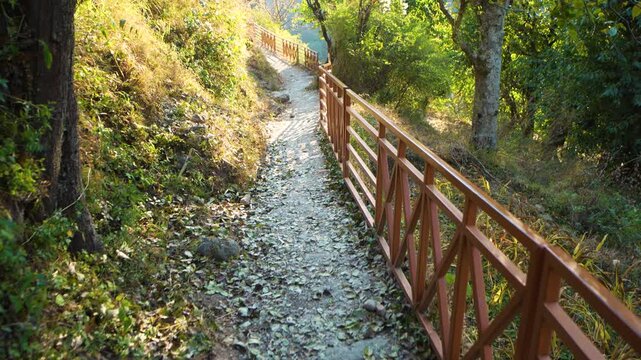 Walking along a narrow stone forest path with wooden railings in Chakrata, Dehradun, Uttarakhand