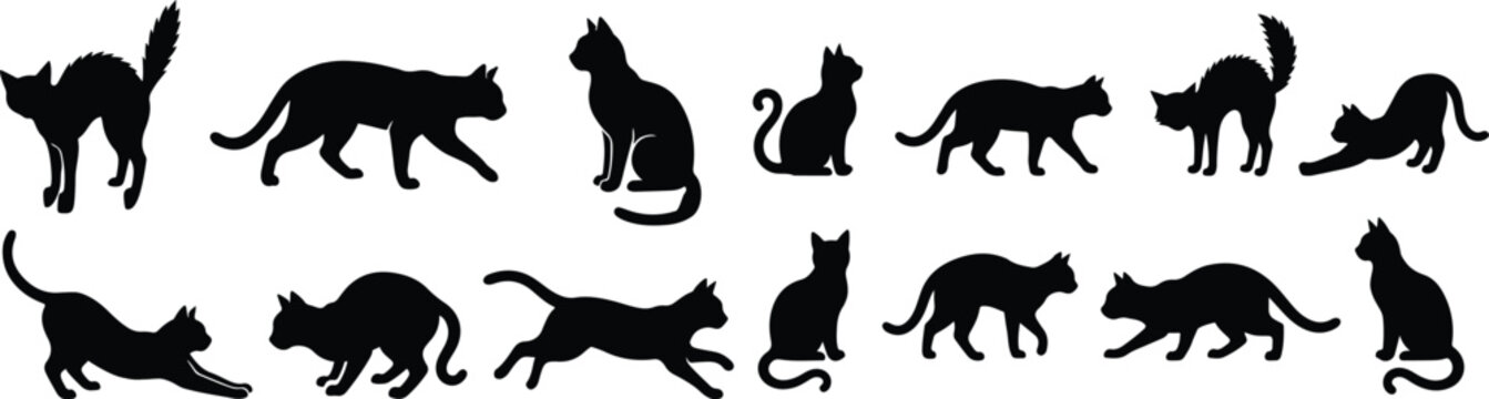 Collection of black cat silhouettes in various poses and actions