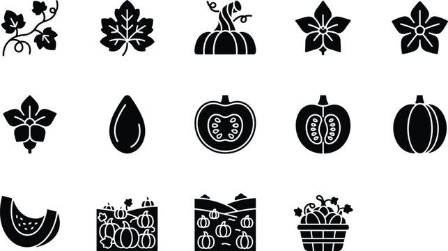 Set of black pumpkin icons for autumn harvest and thanksgiving featuring leaves vines seeds slices and vegetable fields