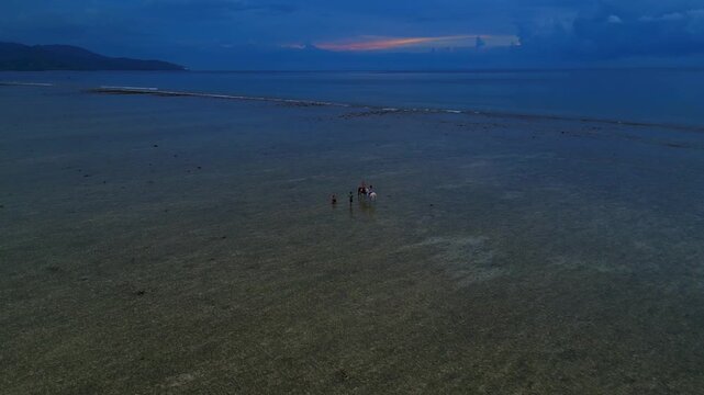 Group people and horses walking in shallow ocean water. Perfect aerial view drone