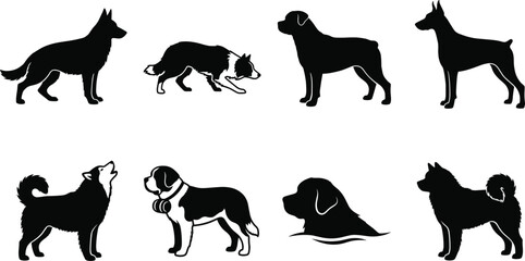 Set of solid black high contrast dog silhouettes featuring various working and herding breeds © MdBabul