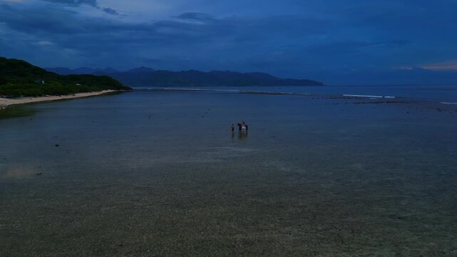 Group people and horses walking in shallow ocean water. Smooth aerial view drone