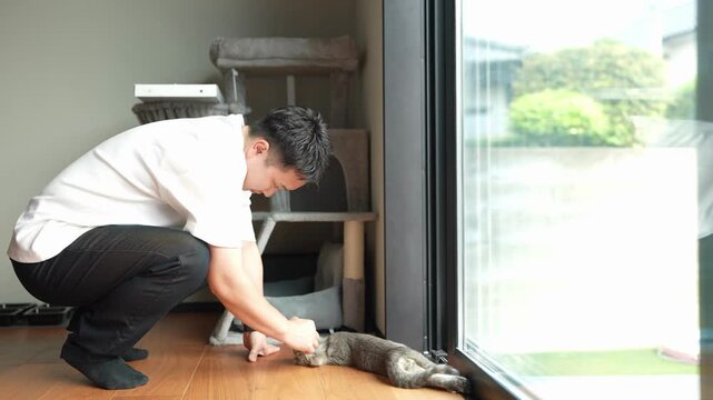 Man pets relaxed cat near window. Cat lies on floor, eyes closed, enjoying attention. Soft light filters through glass, calm scene. Ideal for tranquil pet or home atmosphere shots