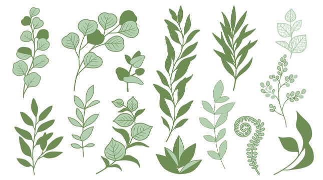 Eine Sammlung von handgezeichneten botanischen Elementen mit verschiedenen gr&uuml;nen Bl&auml;ttern, Zweigen und Farnen, die auf einem sauberen wei&szlig;en Hintergrund isoliert sind, ideal f&uuml;r florale Designs.