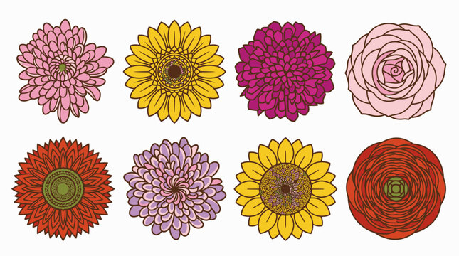Colecci&oacute;n de ilustraciones vectoriales de flores coloridas con diversos p&eacute;talos y formas bot&aacute;nicas dispuestas sobre un fondo blanco limpio para dise&ntilde;o gr&aacute;fico y decoraci&oacute;n