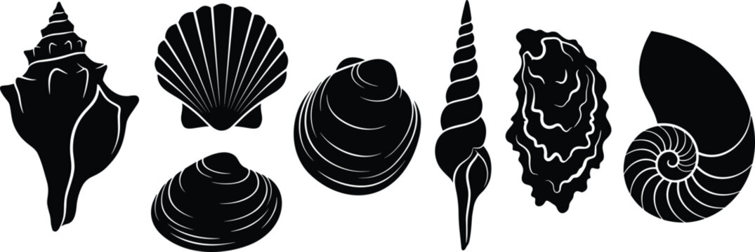 Seashell Silhouette Vector Icons of Conch, Scallop, Clam, Oyster, and Nautilus