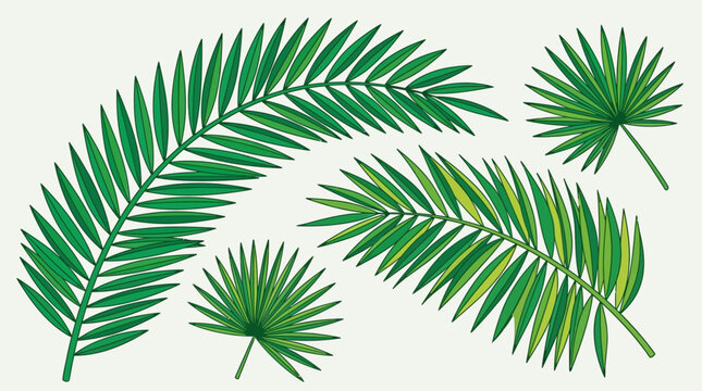 Conjunto de ilustraciones vectoriales de hojas de palmera tropicales verdes aisladas sobre un fondo claro, ideales para dise&ntilde;os bot&aacute;nicos, decoraci&oacute;n de verano y proyectos creativos.