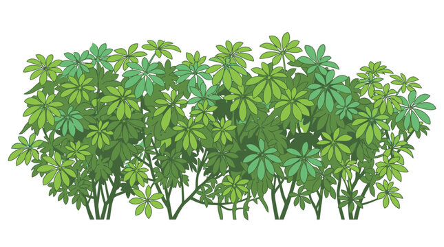 Ilustraci&oacute;n vectorial de un arbusto frondoso con hojas verdes palmeadas, dise&ntilde;ado como un elemento decorativo aislado sobre fondo blanco para proyectos de paisajismo y dise&ntilde;o gr&aacute;fico.