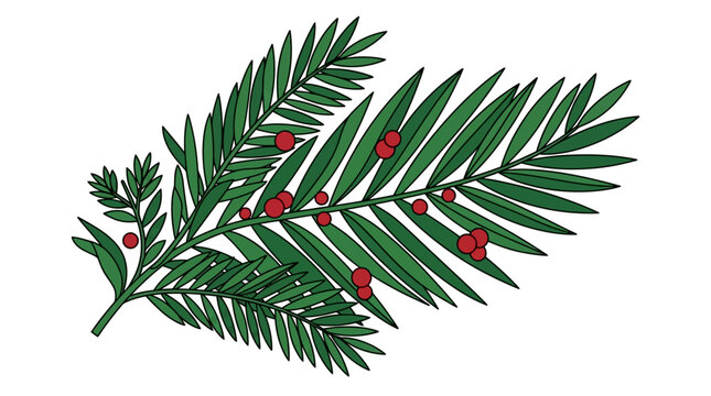Illustrazione vettoriale di un ramo di tasso con bacche rosse su sfondo bianco, ideale per decorazioni natalizie, design stagionale e progetti grafici a tema botanico invernale.