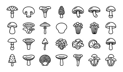 Mushroom Icon Collection with Wild Forest Fungus Outline Hand Drawn Vector Illustration Set © Crafts Home