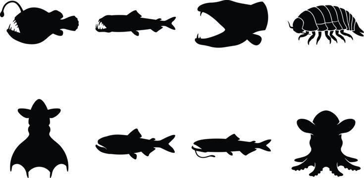 Deep sea creatures silhouette set featuring anglerfish vampire squid dumbo octopus giant isopod and viperfish isolated on white background