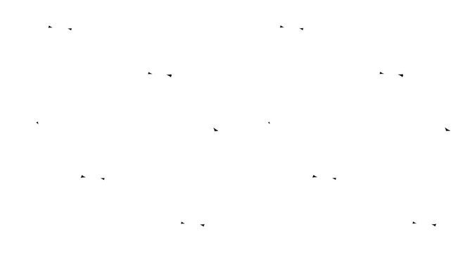 Small black bird silhouettes flying in the sky 4K Motion video