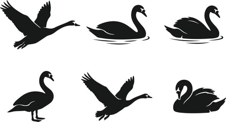 Set of black swan silhouettes in different poses © sefatahmed