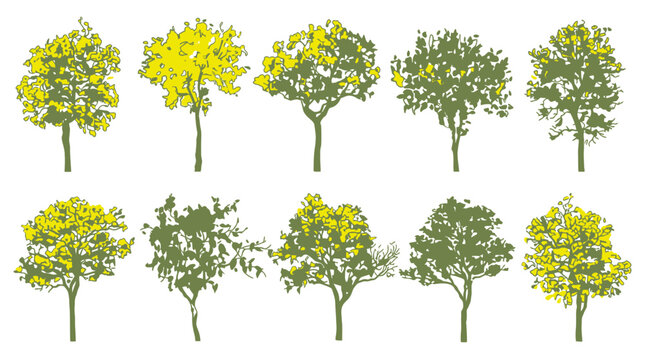 Conjunto de dez ilustra&ccedil;&otilde;es vetoriais de &aacute;rvores estilizadas com folhagem verde e flores amarelas, isoladas em fundo branco para design gr&aacute;fico e projetos de paisagismo.
