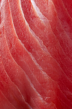 Piece of tuna in close-up. Large piece of fresh red tuna. Macro photography. An image of one large steak of fresh tuna is presented. Natural omega