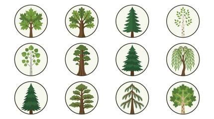 Forest Tree Species Icon Set © ahmad