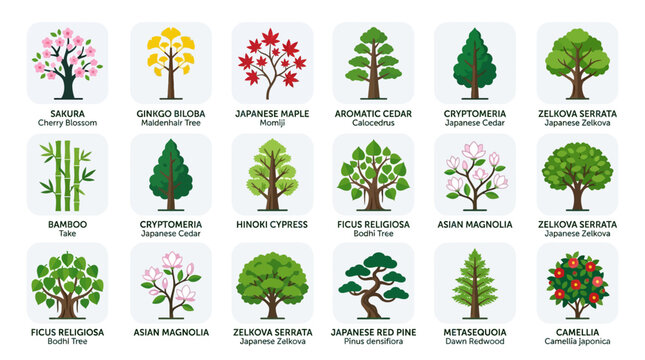Japanese Tree Species Icon Set