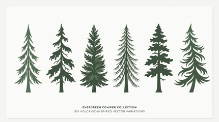 Obraz premium Evergreen conifer tree collection