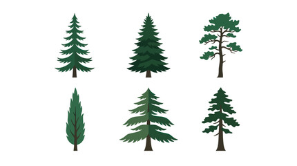 Obraz premium Collection of evergreen tree illustrations
