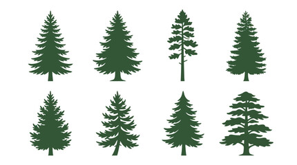 Fototapeta premium Collection of evergreen tree silhouettes
