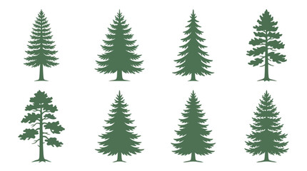 Obraz premium Collection of evergreen tree silhouettes