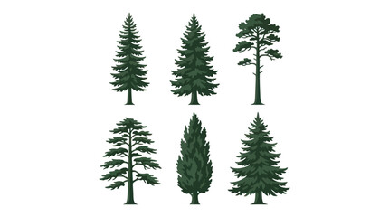 Obraz premium Collection of evergreen trees