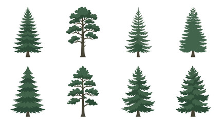 Obraz premium Collection of evergreen trees in vector art