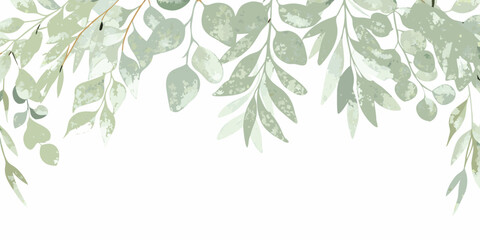 eucalyptus leaf border watercolor green plant nature © Dilip
