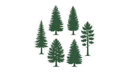 Collection of evergreen trees silhouette © ImamBombo