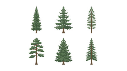 Conifer tree collection © ImamBombo