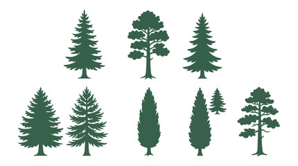 Obraz premium Diverse evergreen tree silhouettes collection