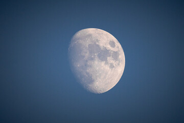 Large and detailed close-up of the moon visible against a clean blue sky in daylight or early evening. Perfect for backgrounds, composite images, illustrating articles about space, science, astronomy. © Mariia