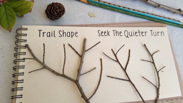 Natural Art Composition of Twigs and Pinecone on Sketched Paper with Inspirational Quotes and Nature Elements