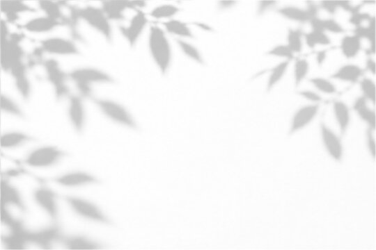 Shadow overlay effects of realistic abstract natural tree leaves shadow on wall background, summer sunlight dappled branch shadow with abstract background with branch