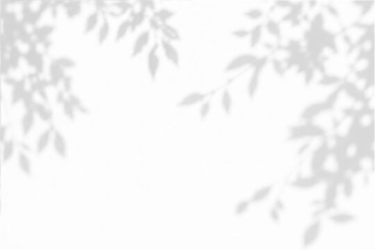 Abstract branch shadow and summer sunlight dappled shadow overlay effect with realistic abstract natural tree leaves shadow on wall background, abstract shadow background with branch