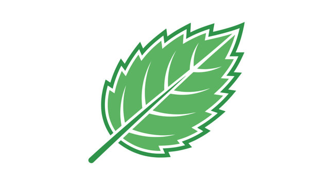 Green Mint Leaf Icon Vector Illustration