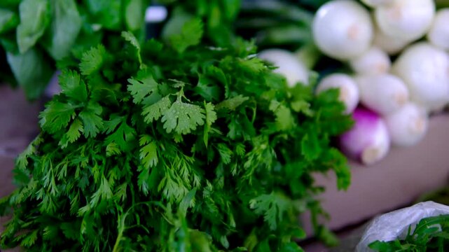 greens at the market spring onions basil parsley cilantro