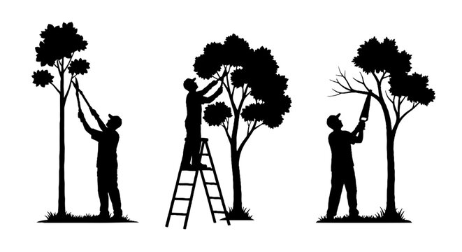 Silhouettes of people trimming trees with tools.