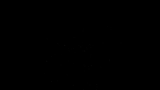 Festive fireworks in the night sky during a celebration