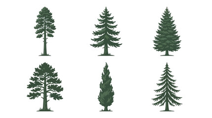 Set of evergreen trees vector illustration © Moples