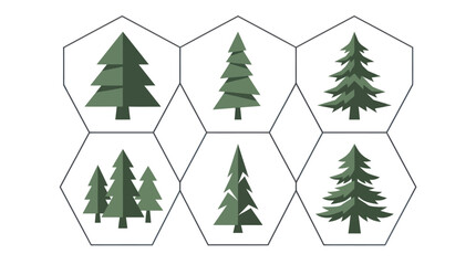 Obraz premium Set of stylized evergreen trees