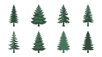 Obraz premium Set of stylized evergreen trees