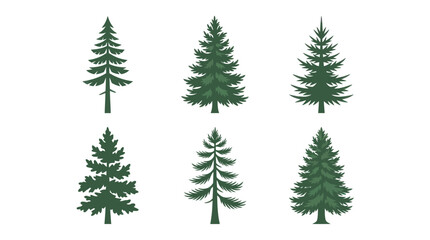 Obraz premium Set of evergreen tree icons