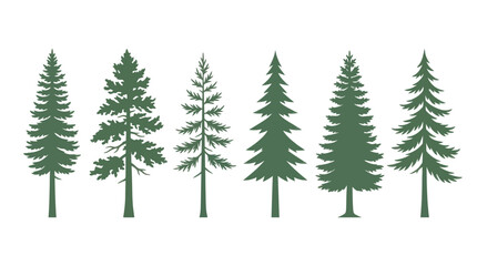 Obraz premium Variety of evergreen tree silhouettes