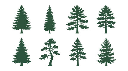 Obraz premium Variety of evergreen tree silhouettes