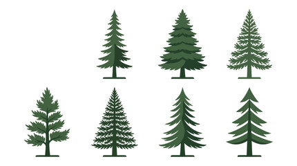 Obraz premium Various evergreen tree illustrations