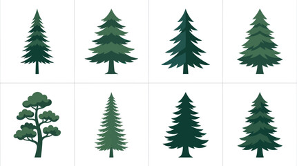 Obraz premium Various evergreen tree illustrations