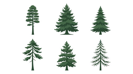 Obraz premium Various evergreen tree illustrations