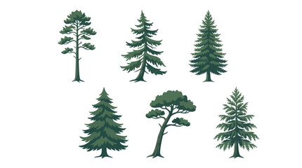 Various evergreen tree illustrations © Verilux